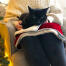 Svart katt sittande på Luxury katt julklapp på person