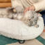 Katt som ligger och blir kittlad på Omlet Maya donut kattbädd i Snowboll vit och svart hårnålsfötter