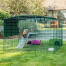 Omlet Zippi kaninlekpark med Zippi plattformar, grönt Zippi skydd och två kaniner.