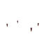 Topology hundbädd mässingslock träfötter Topology hundbädd mässingslock träfötter