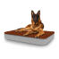 Hund som sitter på stor Topology hundbädd med mikrofibertopp Hund som sitter på stor Topology hundbädd med mikrofibertopp