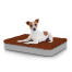 Hund sitter på liten Topology hundbädd med mikrofibertopp Hund sitter på liten Topology hundbädd med mikrofibertopp