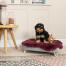Cockapoo i Luxury memory foam Topology hund säng Cockapoo i Luxury memory foam Topology hund säng