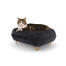 Katt sitter på Maya donut kattsäng i earl grey med Gold hairpin fötter