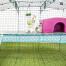 Kanin Zippi plattform rosa shelter äta från Caddi kanin Godishållare Kanin Zippi plattform rosa shelter äta från Caddi kanin Godishållare