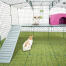 Omlet Zippi kaninlekpark med Zippi plattformar, Caddi Godishållare, lila Zippi skydd och två kaniner.