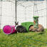 Zippi kaninskydd med kanin Zippi plattform och Caddi hållare för kaninGodis