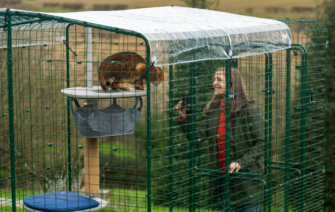 Ägaren interagerar med sin katt i en Omlet Walk In Run med tydligt väderskydd.