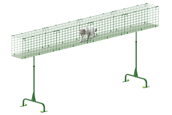 Katt i Omlet tunnelsystem för katter