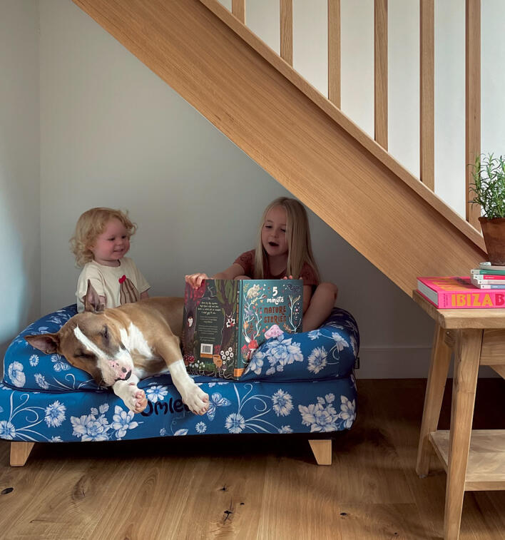 Barn som läser för hund på memory foam bolster hundbädd