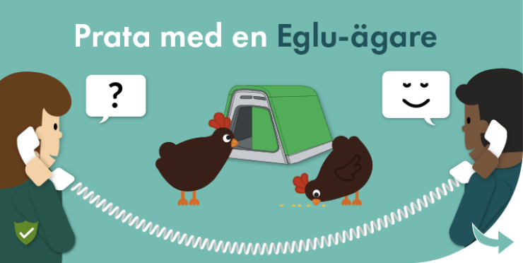 Chatta med en ägare till Eglu 