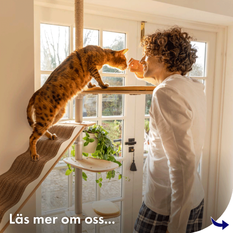 Ta reda på mer om Omlet