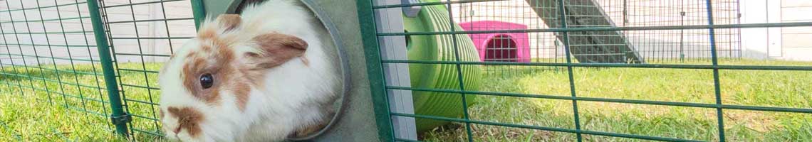 En av Omlets kaningårdar ger din kanin massor av utrymme att motionera