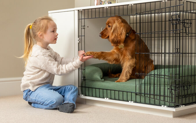 ett barn leker med en hund i en hundkoja