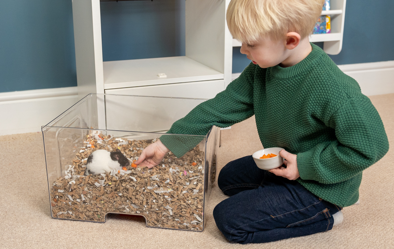 ett barn matar en hamster som befinner sig i strölådan på hamsterburen Qute