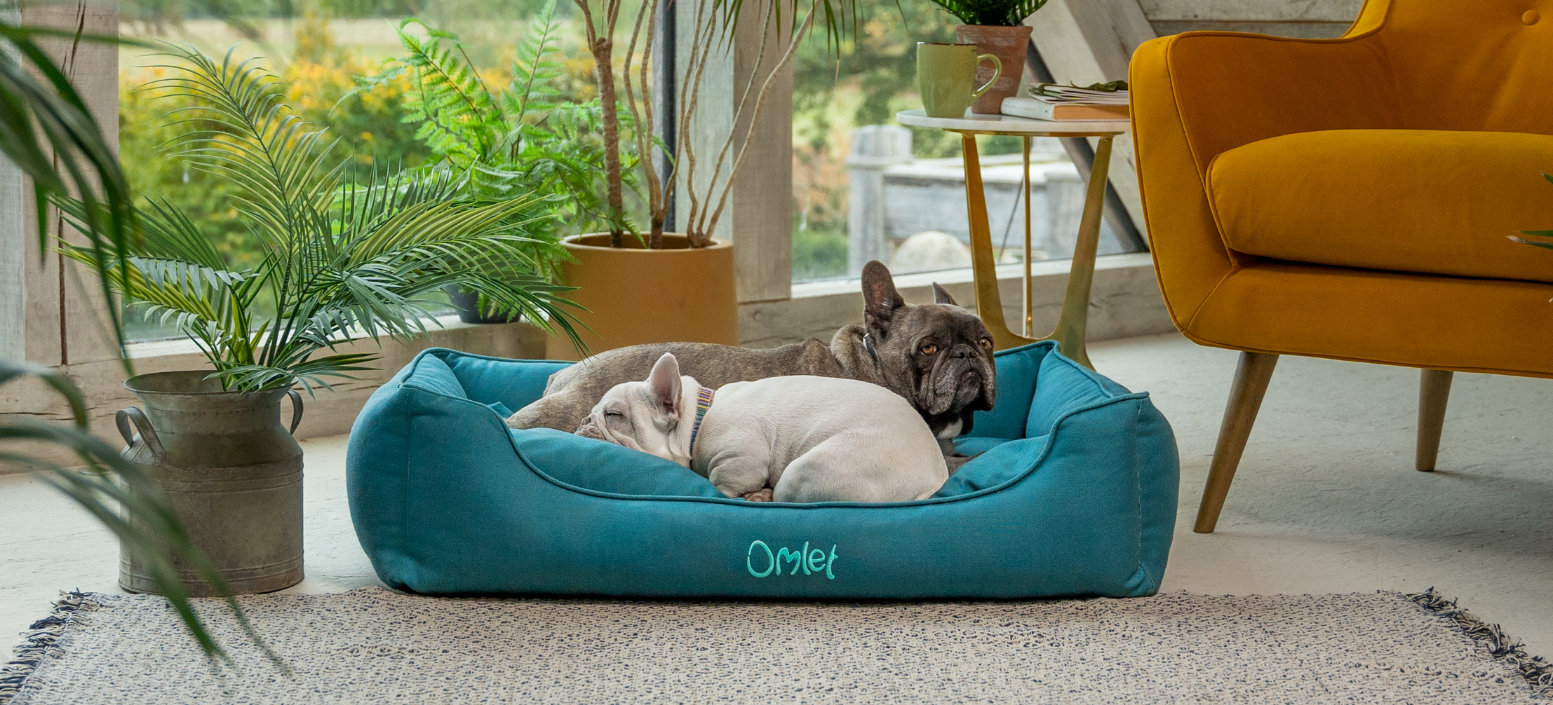 Two French bulldogs curled up together on their Omlet Nest dog bed in Shaded Spruce