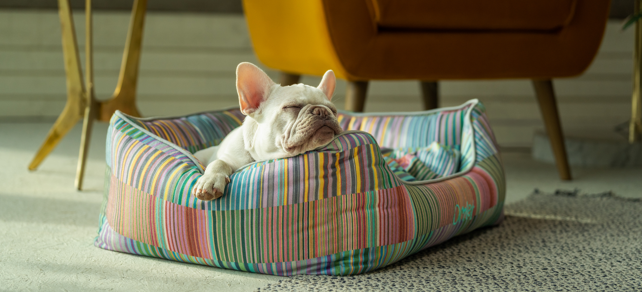 En fransk bulldog njuter av att vila på Omlets hundkrypinsäng med Pawsteps Electric-mönster.