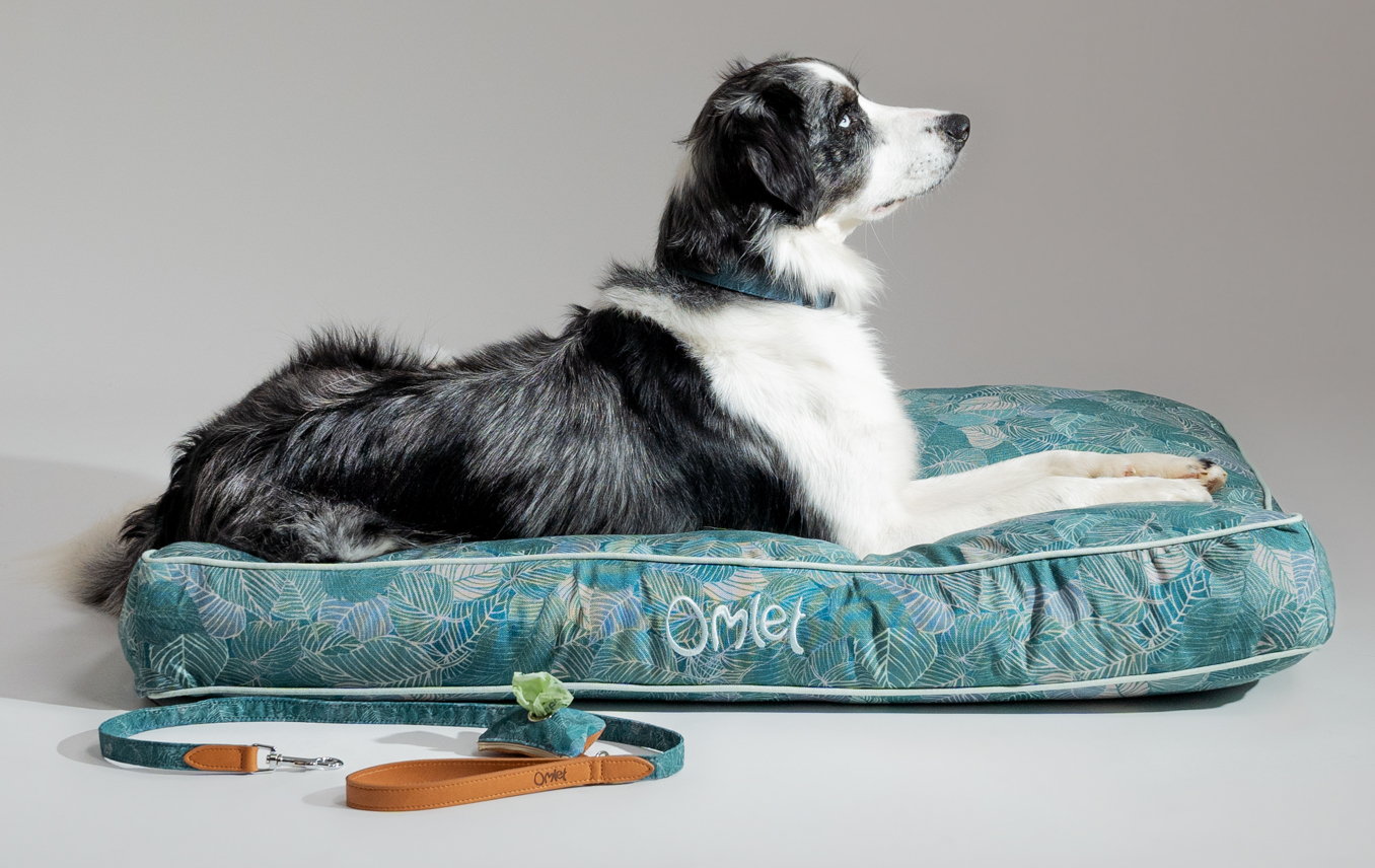 En Fransk Bulldog vilar på Omlets kuddsäng med Pawsteps Electric-mönster.