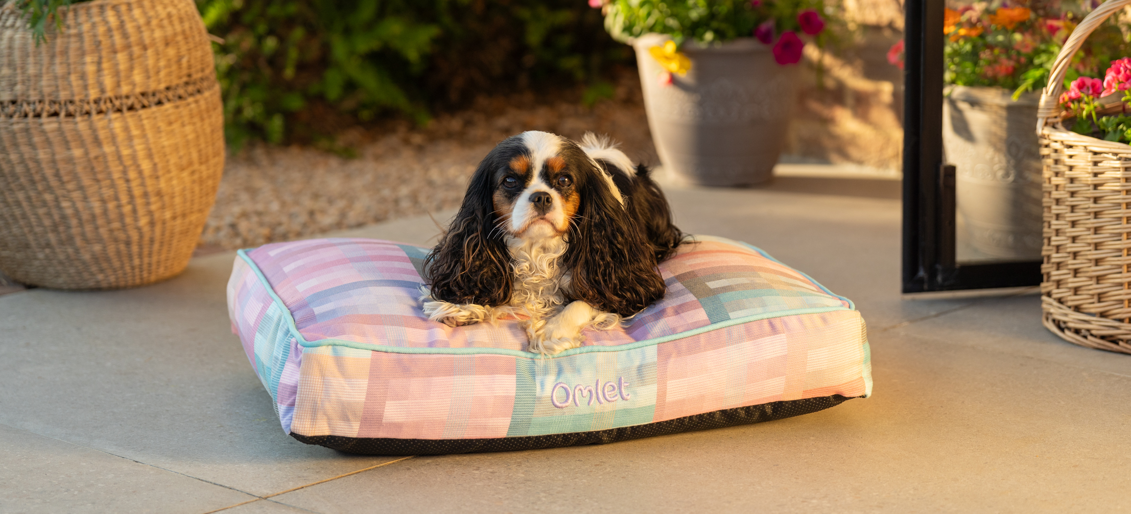 En Cavalier King Charles spaniel på sin kuddsäng med Prism Kaleidoscope-mönster från Omlet