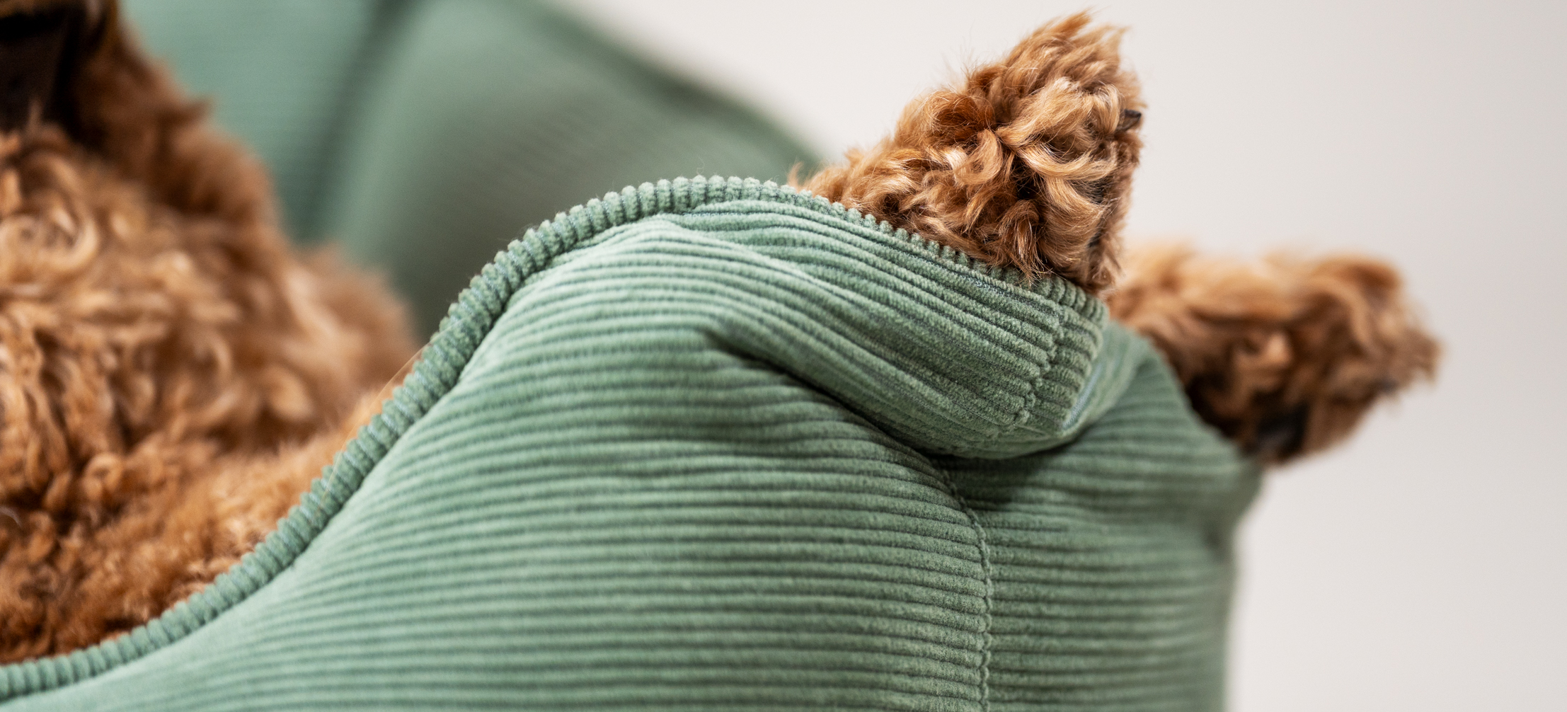 Close up of fluffy dog's paws on Omlet’s Nest dog bed in Gardenia Sage