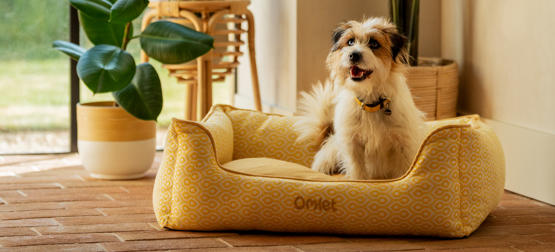 En Terrier ligger på Omlets hundkrypinsäng med Honeycomb Pollen-tryck