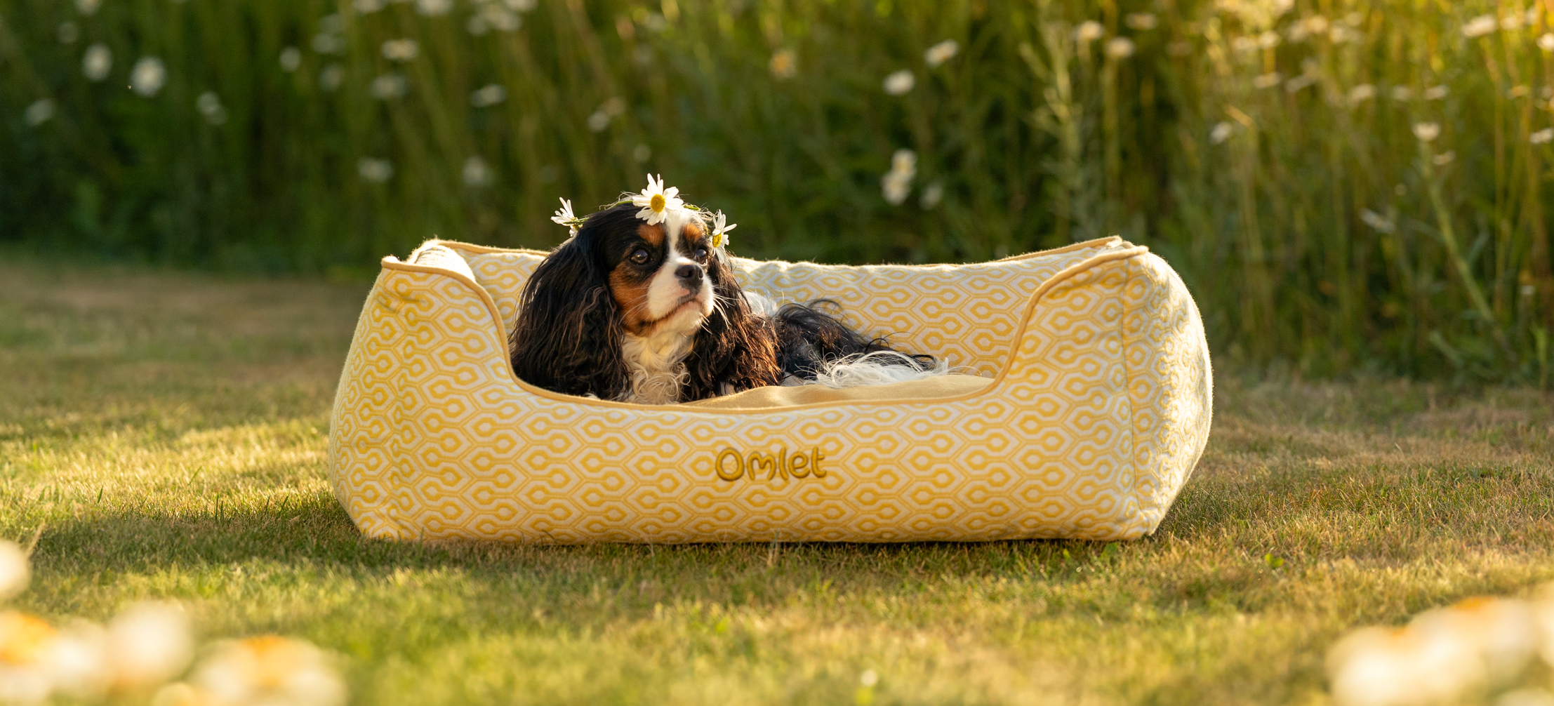 En King Charles Spaniel njuter på sin hundkrypinsäng från Omlet med Honeycomb Pollen-mönster