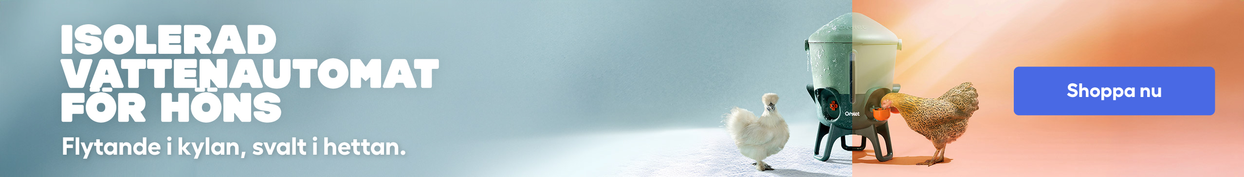 insulated chicken drinker