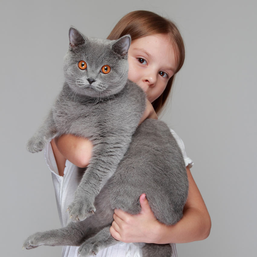 En liten flicka håller en katt