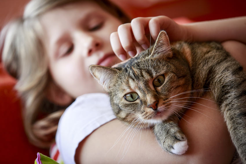 Ett barn håller sin nya katt