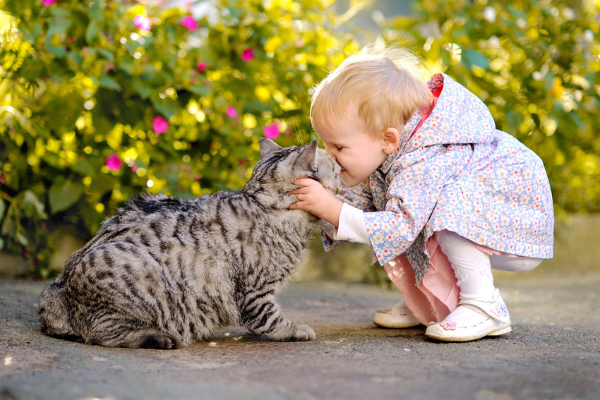 Ett barn gosar med sin katt