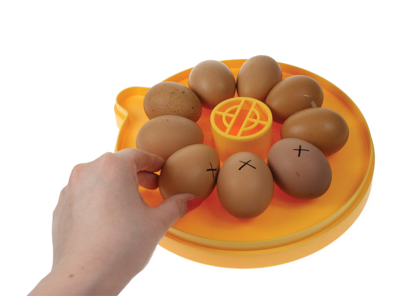 Vänd äggen inne i Brinsea Mini Eco-äggkläckaren