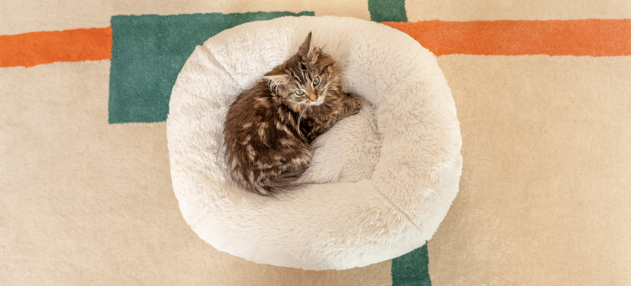 En katt är uppkrupen på Maya Donut kattbädd från Omlet
