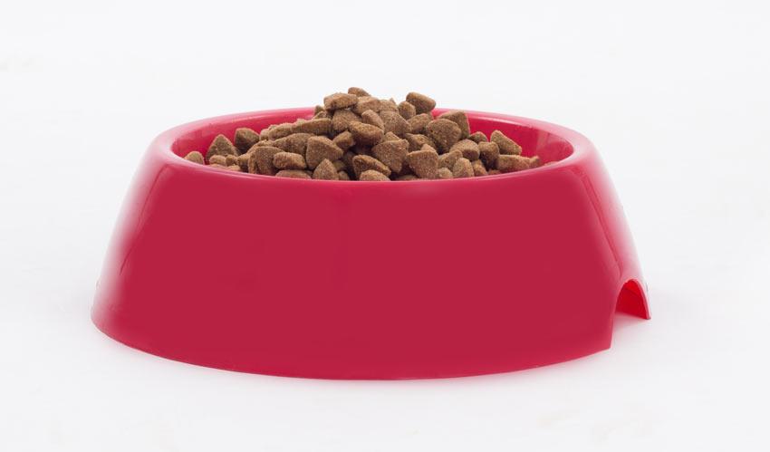 En skål med hundtorrfoder