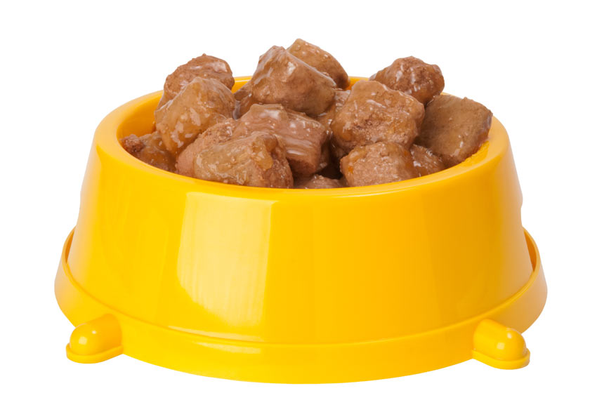 En skål med färskfoder