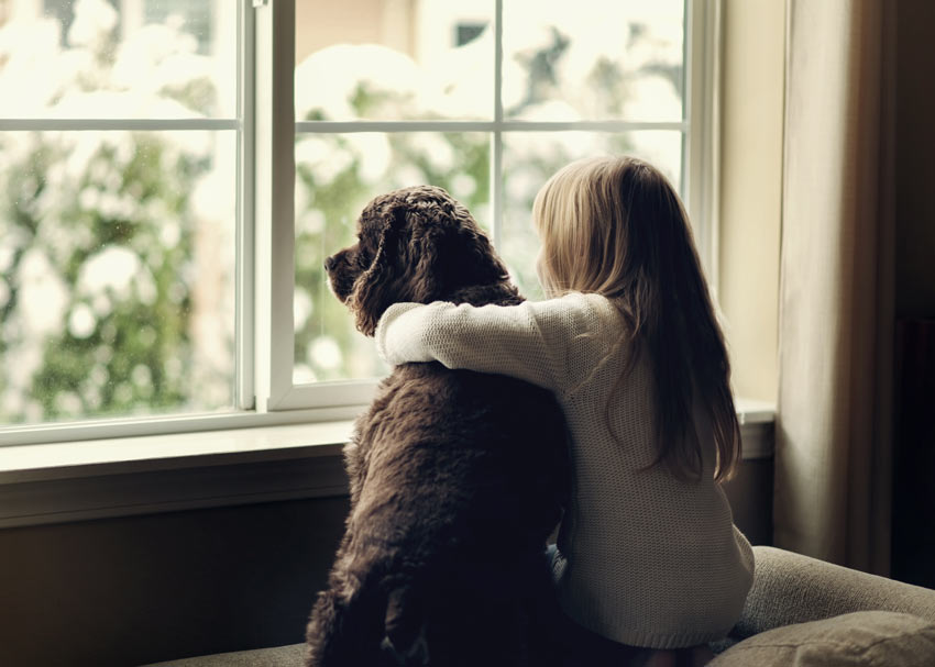 En hund sitter med en liten flicka och tittar ut från fönstret