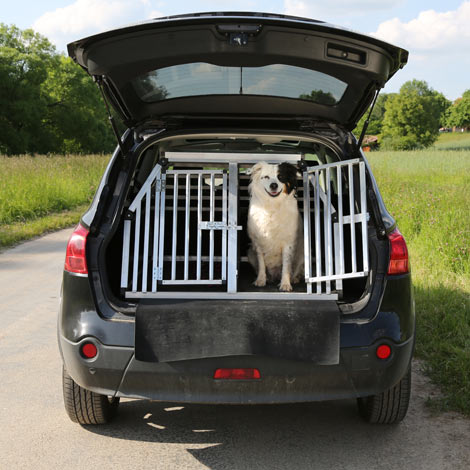 En hund som säker åker i en resebur