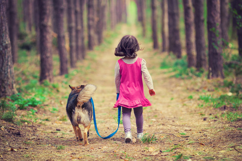 En liten flicka pratar med sin lydiga hund på en promenad i skogen