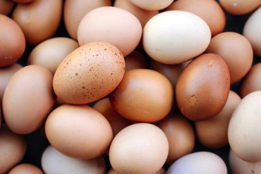 Olika hönsägg