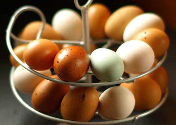 Omlets äggsnurra full av ägg