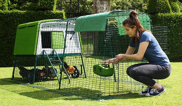 En tvådelad dörr låter dig fylla på mat och vatten utan att dina höns smiter ut