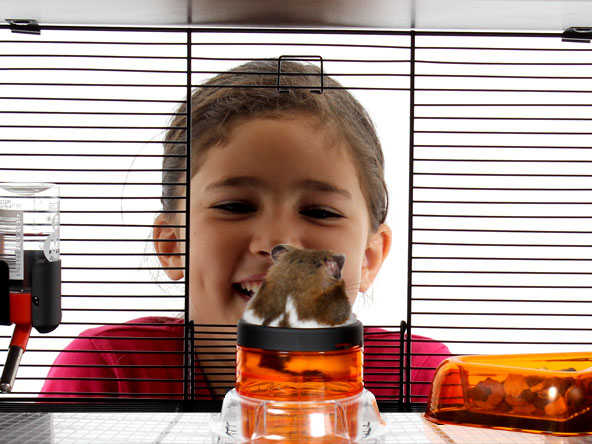 Flicka tittar på en hamster i Qute.
