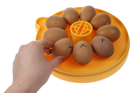 En Brinsea Mini Eco med ägg markerade med X