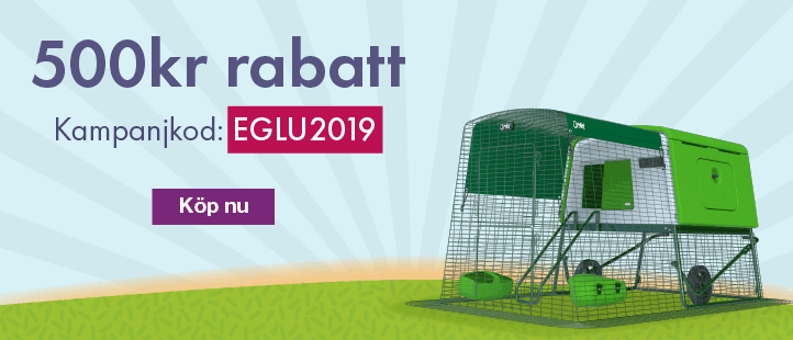 January Eglu Offer