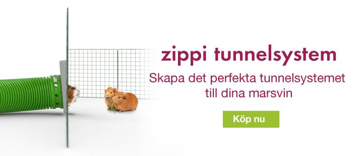 Zippi Guinea Pig Tunnel System Banner