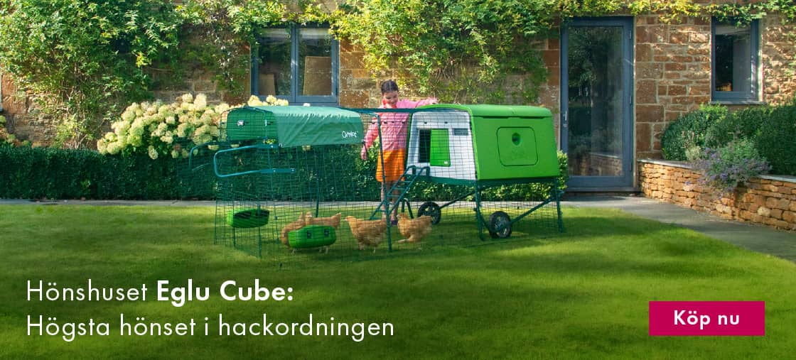 Eglu Cube