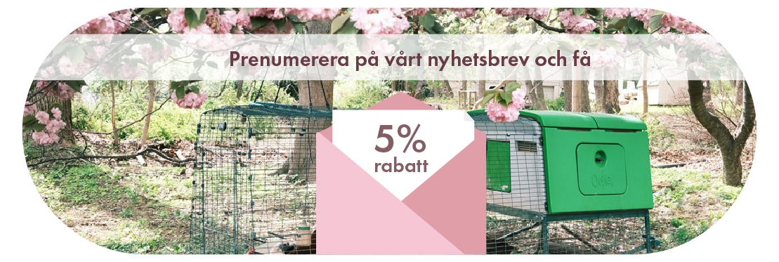 Newsletter Sign Up