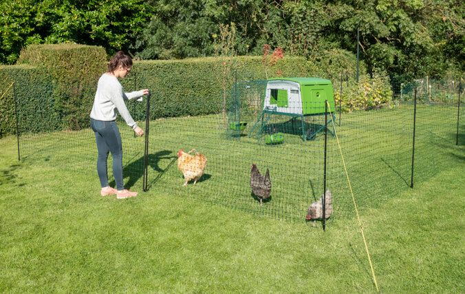 eglu cube och hönsstängsel med en dörr