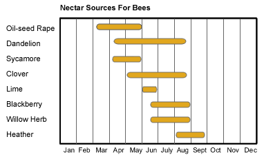 Source_of_nectar_for_bees