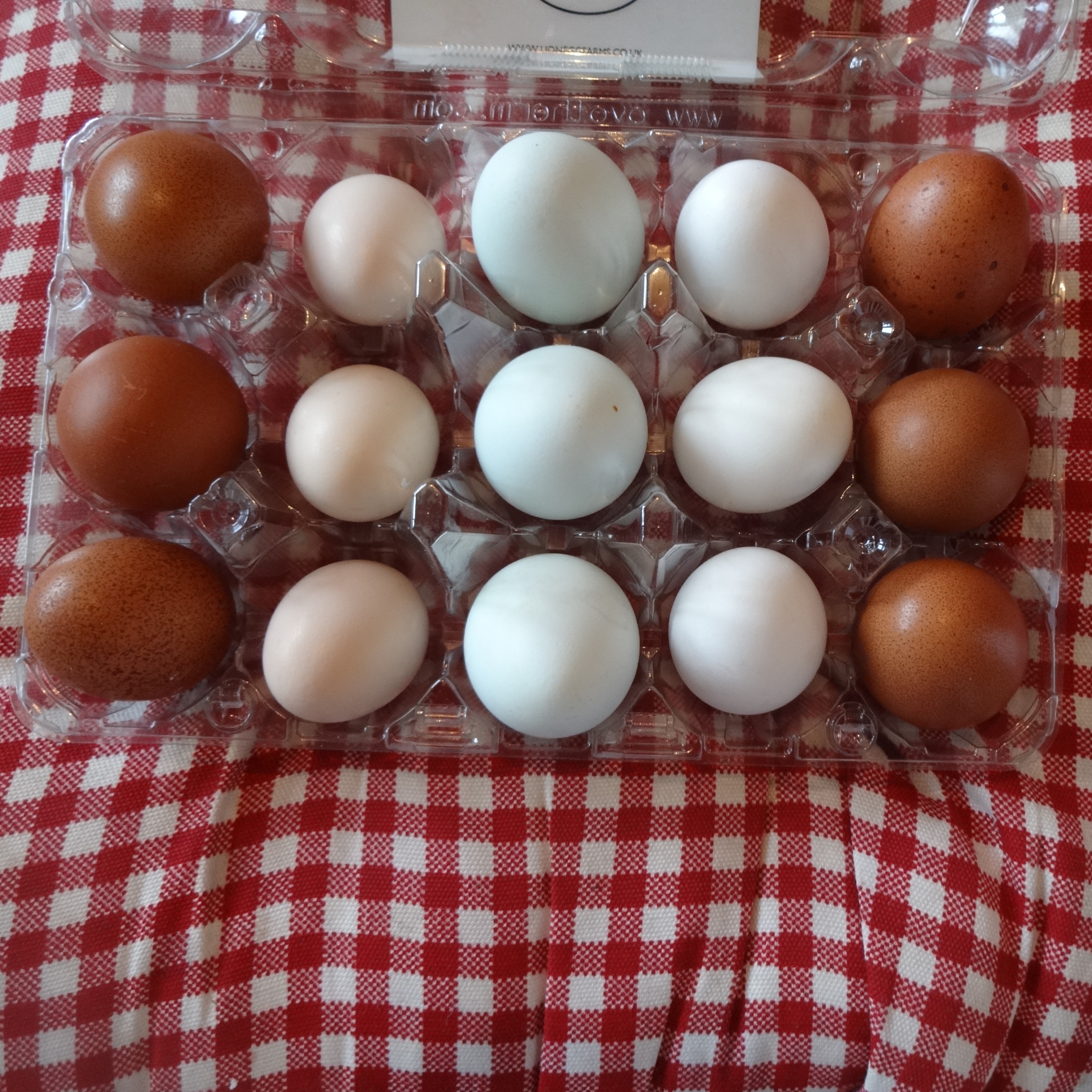 Nikkesha Heaths samling av fantastiska och olikformade ägg