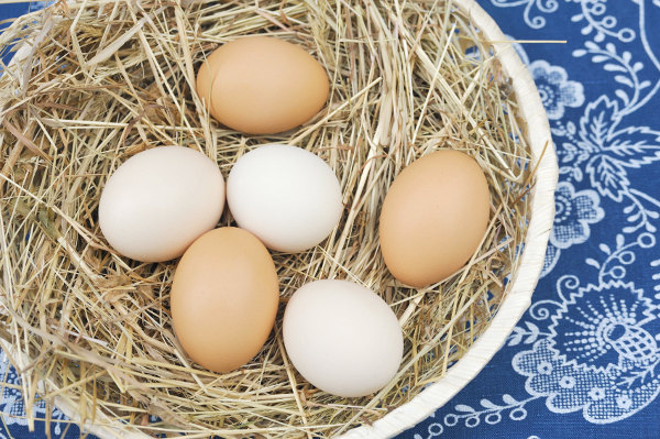 Plocka ägg i en korg med halm